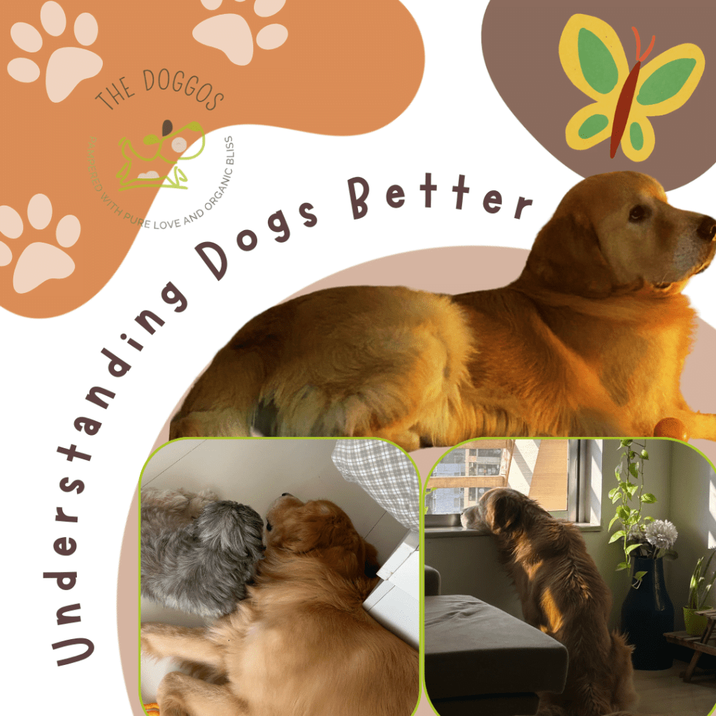 Brown Abstract International Dog Day Post 20231227 112358 0000