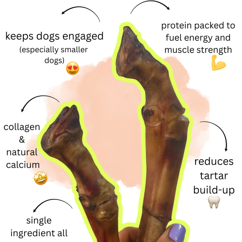 Mutton Trotters for Dogs: Benefits, Nutrition, and Feeding Guide