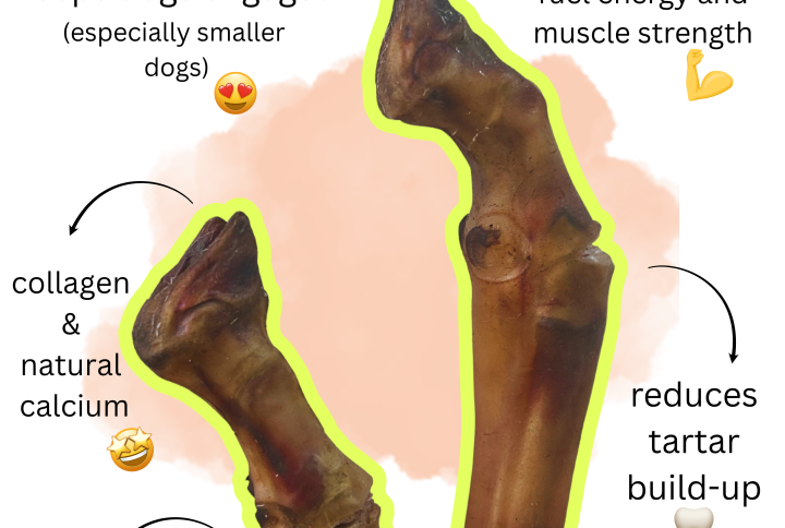 Mutton Trotters for Dogs: Benefits, Nutrition, and Feeding Guide