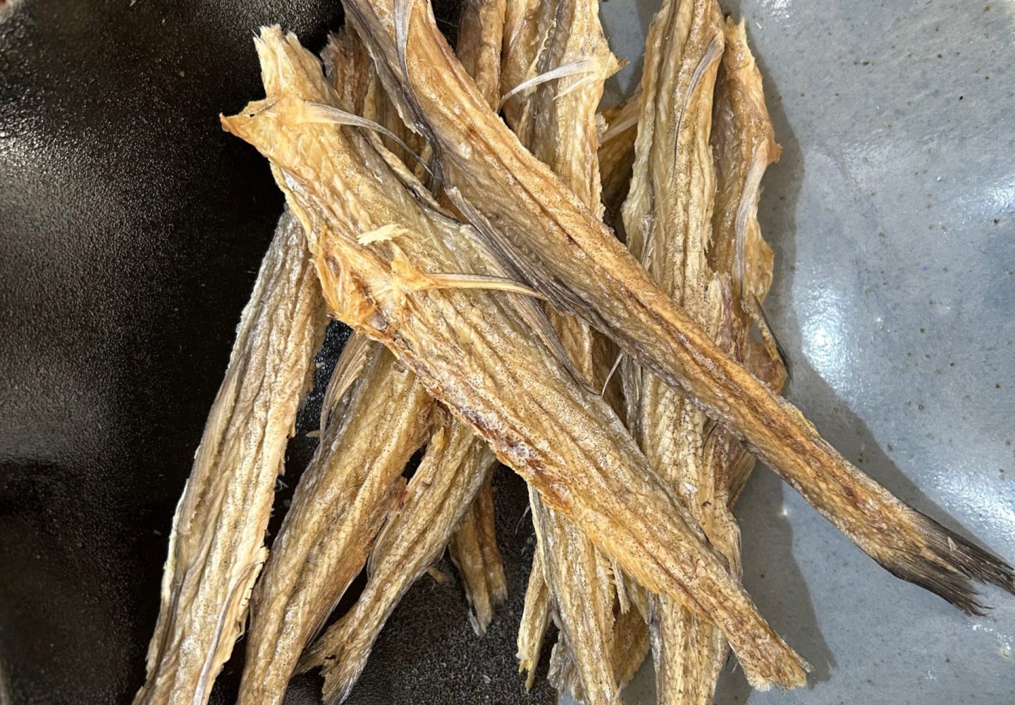 Can Dogs Be Vegetarian? 5 1000037424