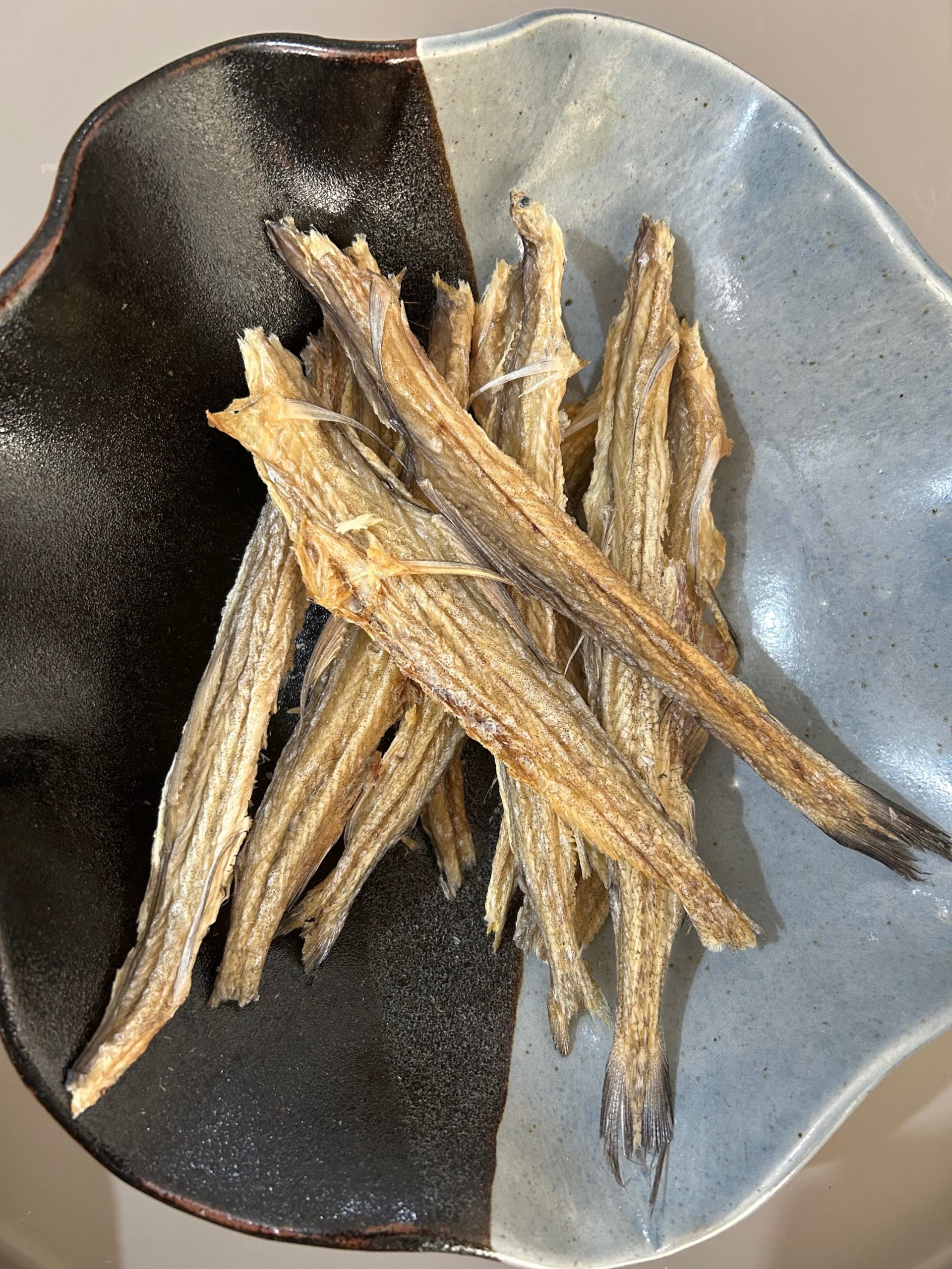 Can Dogs Be Vegetarian? 2 1000037424