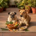 Best Grooming & Skin Care for Pug in India [2026]