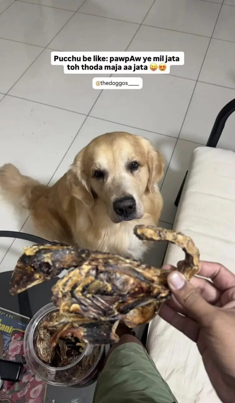 oscar