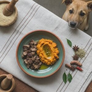 Home-cooked dog meal — benefits puppy bone development India